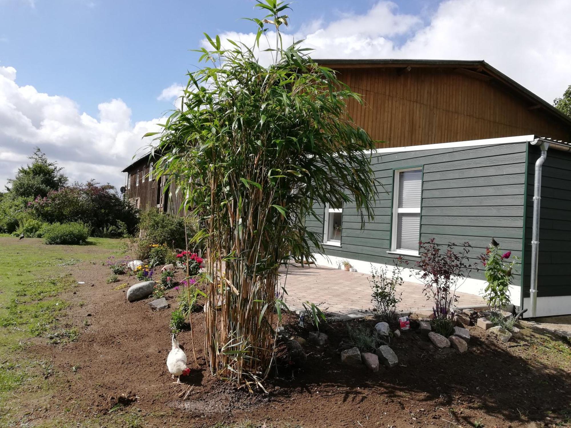 Apartmán Kruegerhof Luebbersdorf Oldenburg in Holstein Pokoj fotografie