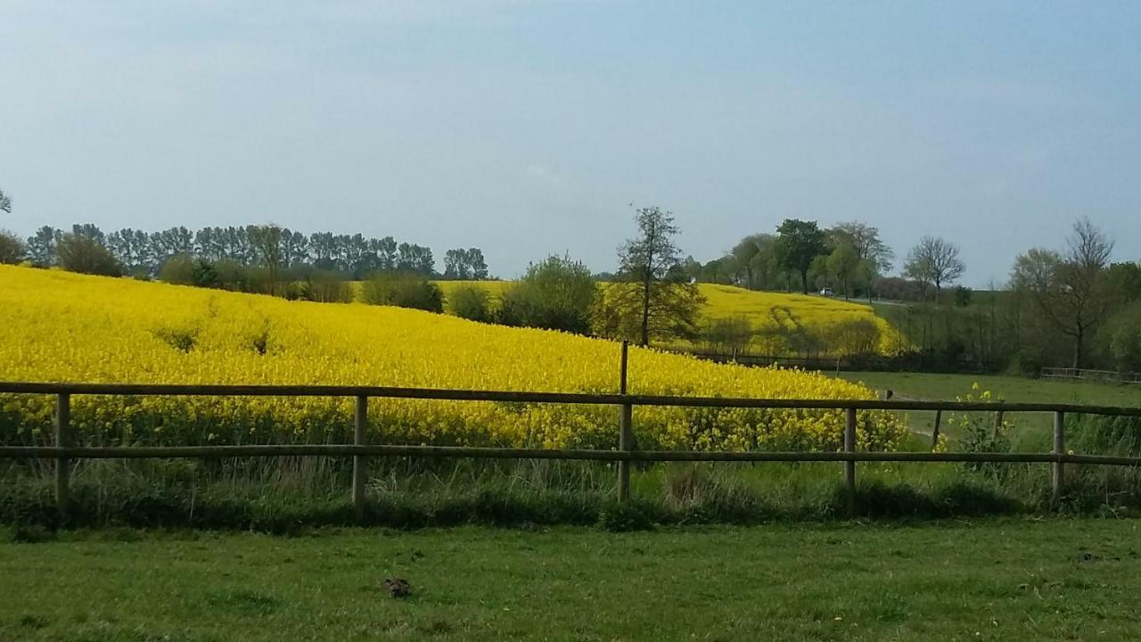 Apartmán Kruegerhof Luebbersdorf Oldenburg in Holstein Exteriér fotografie